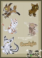 Adopts for Sale ! 