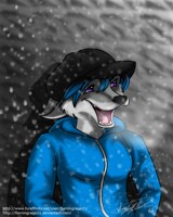 Snow Fall