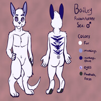 [com]Bailey