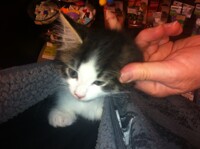 New family member <3