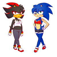 Fem Sonic and Shadow