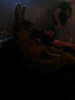 Hookah and chill