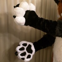 Fritz Feral Paws