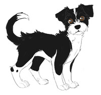 MY DOG