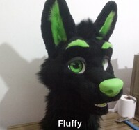 Fluffy momo head 