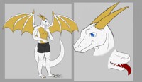 My sona's reference page thingy.