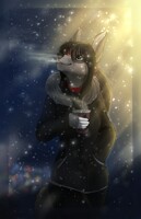 Saiara