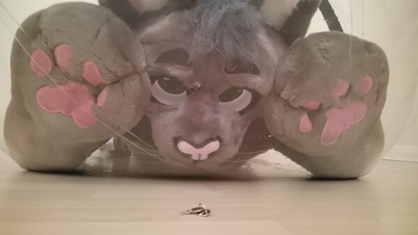 Feline Fursuit head base