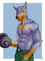 Dober Doge (Shirtless)