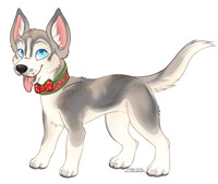 Feral Mini YCH || Finn