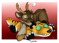 Chibi'bou 2015- Caribou