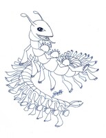 For Kick like Norris contest