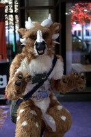 MWFF 2015 Friday 07