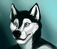husky