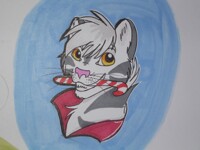 Christmas gifts (Tiger)