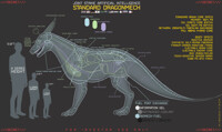 Dragonmech Information