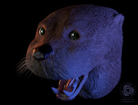 Otter face with open mouth / rendered / 3D