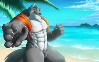 GreyKennyWolfz Beach Blur Version