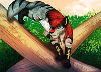 The lion in the tree