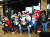 Birmingham Furmeet June 2015