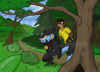 Forest Walk (colour)