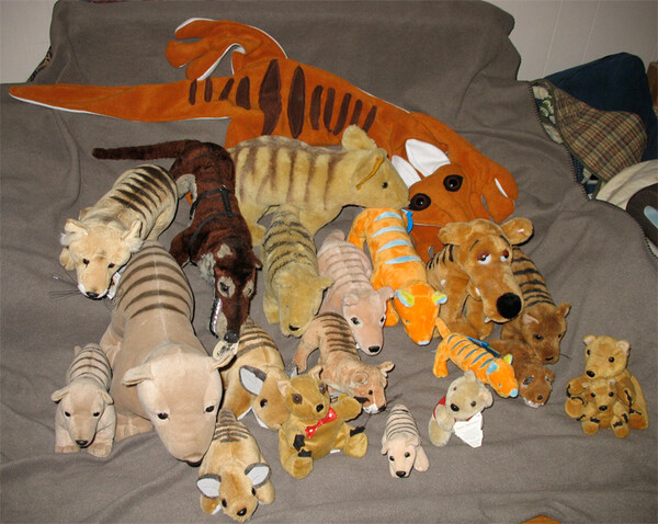 Tasmanian tiger plush online