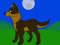 Feral practice 