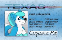 Cupcake Pup ID by Identifur