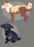 Dog adopts 