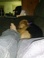 relaxing after a long day of work with my pup at my feet