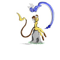 Raichu and Dragonair