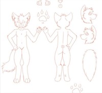 🌟 Warrior Cats sketches🌟 by SkytheHusky21 -- Fur Affinity [dot] net