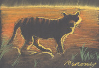 Tiger in the Mist - My First pastel