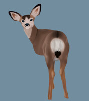 deer wip