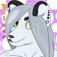 Silver badge
