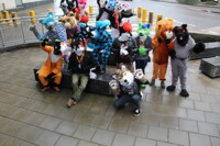 BristolFurs Meet January 2016 Group Photo