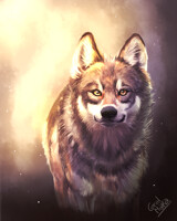 Wolf