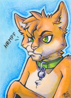 [@] Mehh Puss - by scar3cr0w