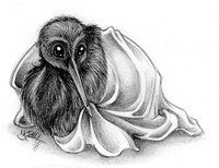 Cover up, little man