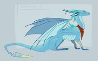 jan17 adoptable auction