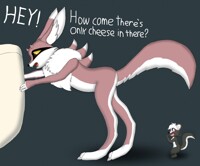 Love at first sight...