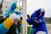 [078] Botanischer Garten Berlin 01/02/2016