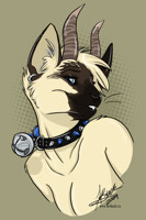 Kace Portrait
