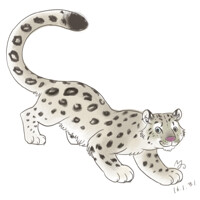 snow leopard