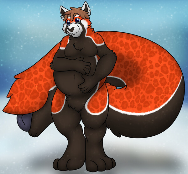 Full bellied red panda by crazy-husky.