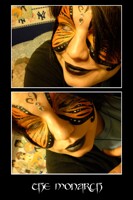 The Monarch
