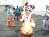 FC '16 #25: Molokai! (any FA account?)
