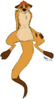 Timon