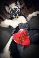 Happy V-Day!