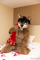 Be My Valentine